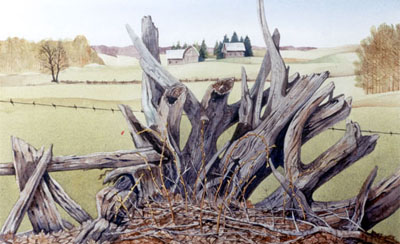 Watercolour of Stump fence, Spring, Oro Township